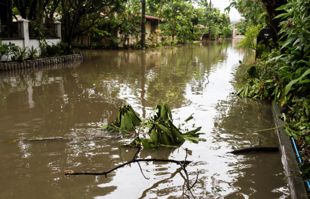 Typhoon Yagi causes deadly floods and landslides